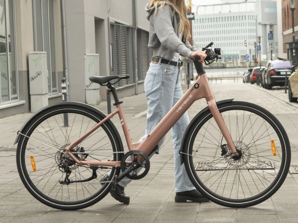 Heybike EC 1-ST - Image 4