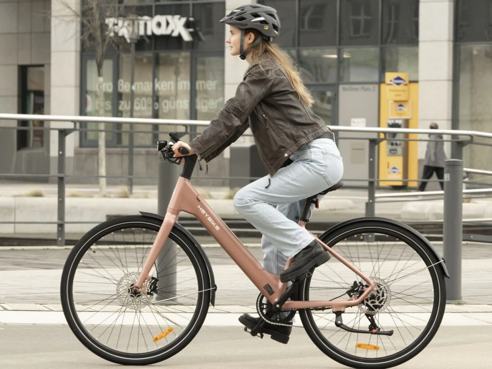 Heybike EC 1-ST - Image 6