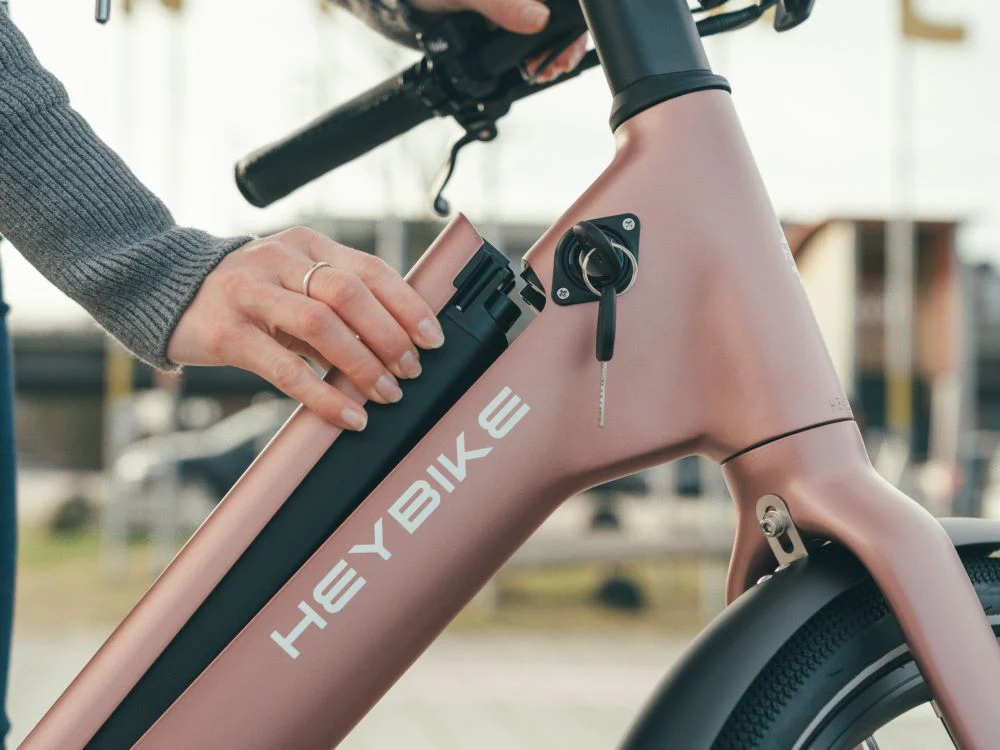 Heybike EC 1-ST - Image 7